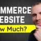 ecommerce website development price