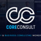 website development consultant