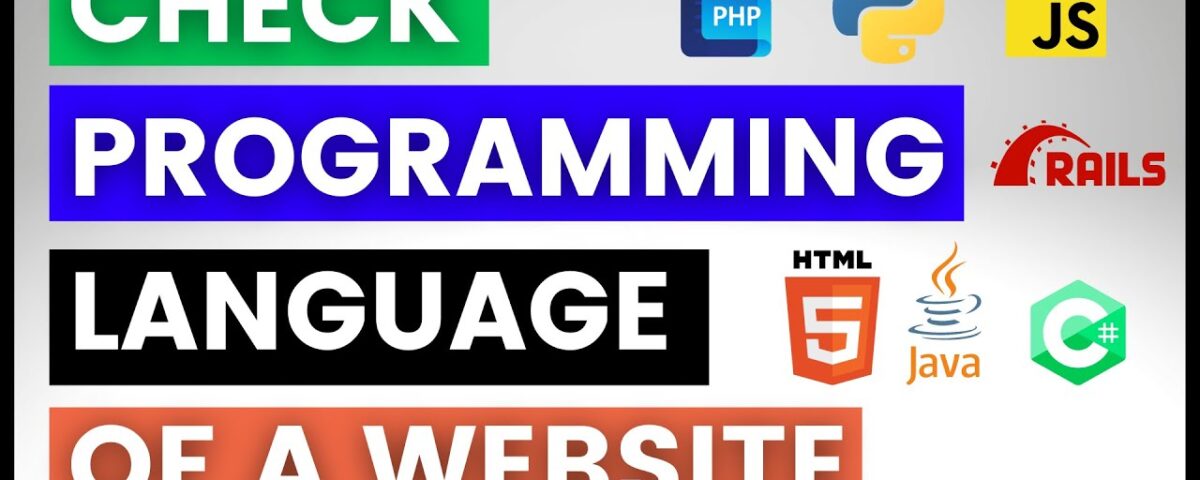 website design programming languages