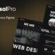 business web design