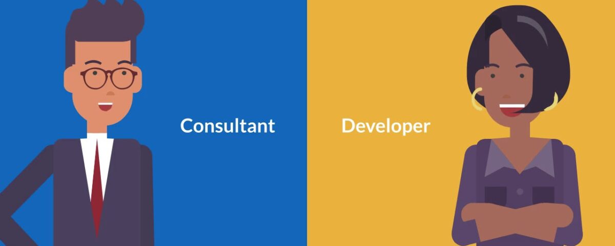 website development consultant