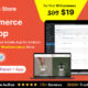 web development ecommerce