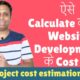 web development cost