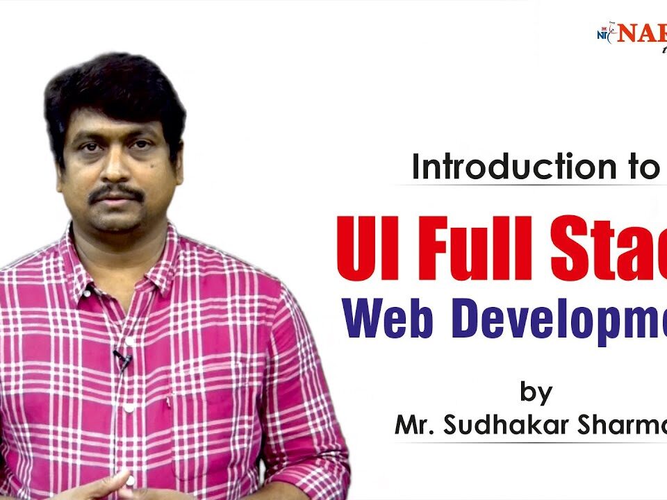 ui web developer