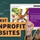 nonprofit web development