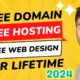 website design and domain hosting