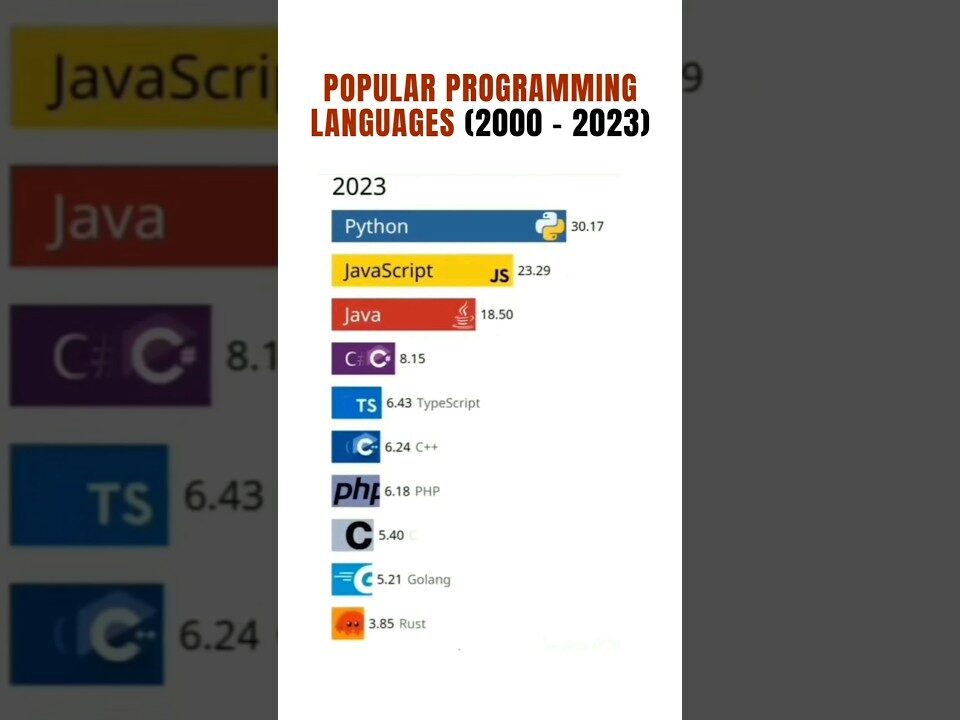 website design programming languages