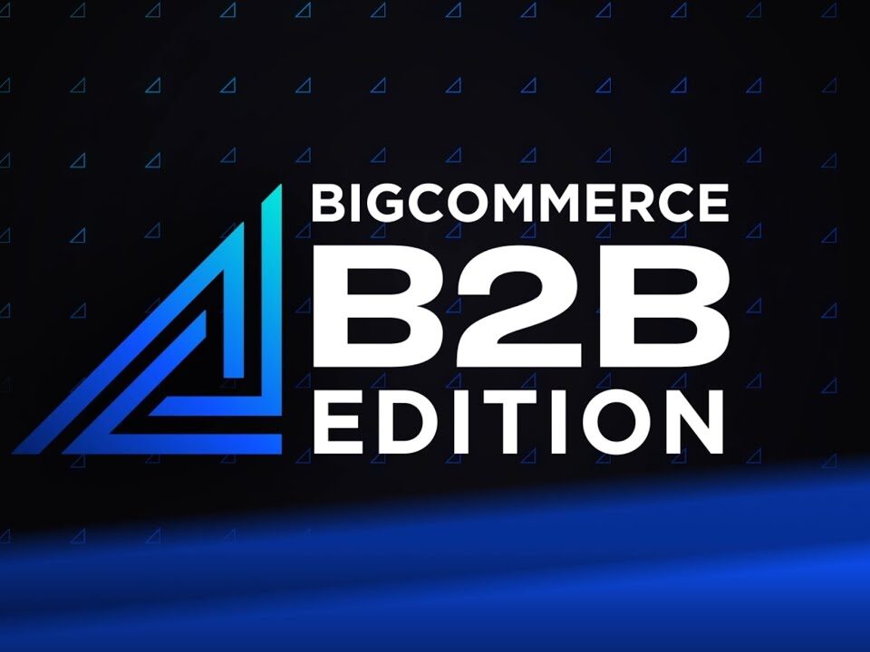 b2b ecommerce website development