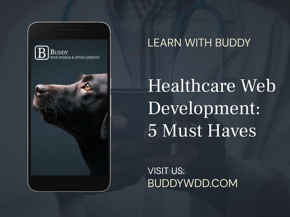 healthcare web development