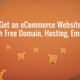 ecommerce website development price