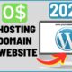 website design and domain hosting