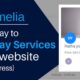 wordpress services