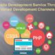 website development services