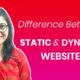 dynamic website development