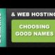 web design and hosting