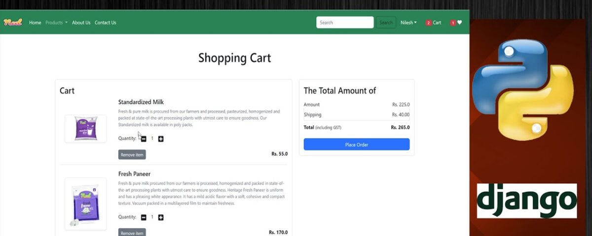 ecommerce site development