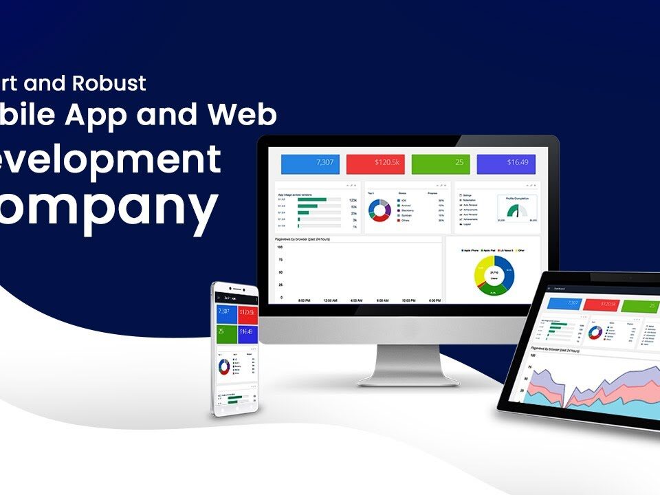 web development consultancy