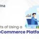 b2b ecommerce website development