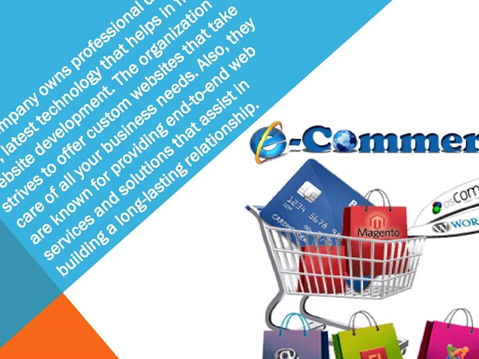 b2b ecommerce website development