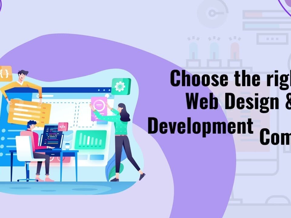 website development and marketing